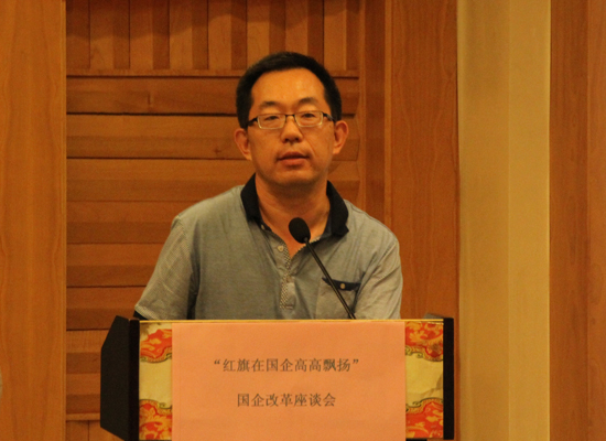 国家电网公司研究员张海洋作交流发言